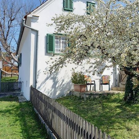 Ferienhaus Im Thermenland Ilz Екстериор снимка
